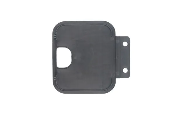 PACOL MAN-SP-013 Foot/Running Board