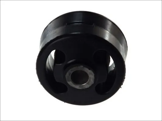 Bushing, leaf spring STR-120320