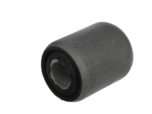 Bushing, leaf spring STR-120901
