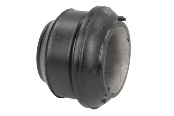 Bushing, leaf spring STR-120313
