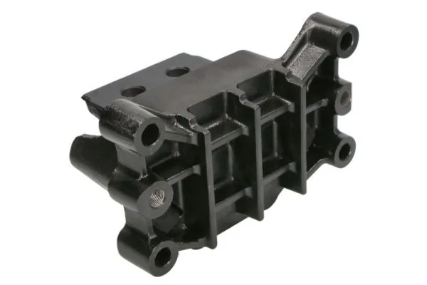S-TR STR-1202317 Mounting, engine