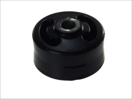 Bushing, leaf spring STR-120320