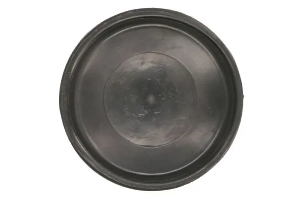 TRUCKLIGHT HR-DA002 Eyelid, headlight
