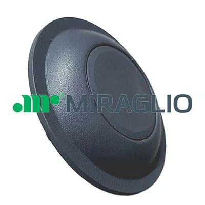 Door Handle, interior equipment 60/423