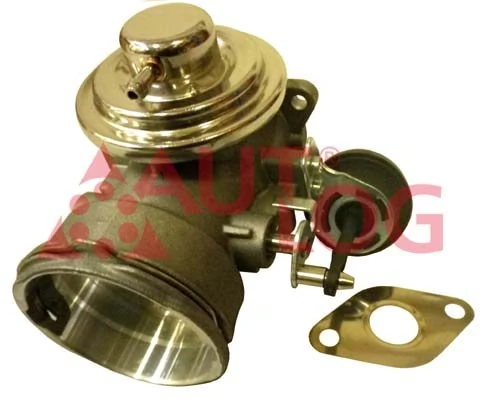 EGR Valve AV6010