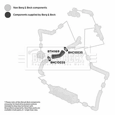 Charge Air Hose BTH1169