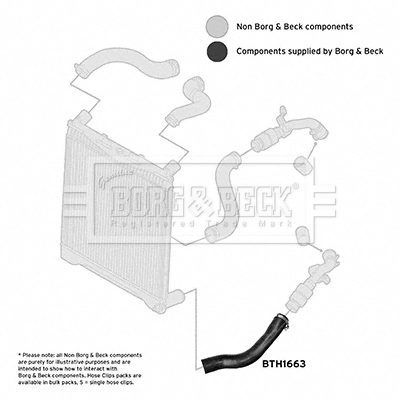 Charge Air Hose BTH1663