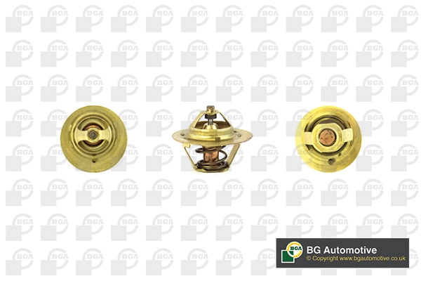 Thermostat, coolant CT5487