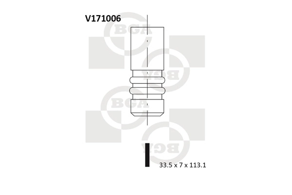 Intake Valve V171006