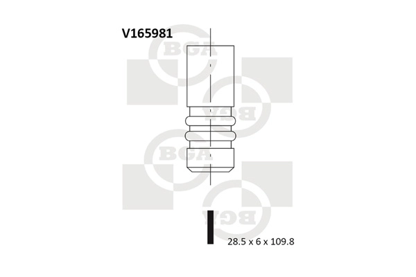 Exhaust Valve V165981