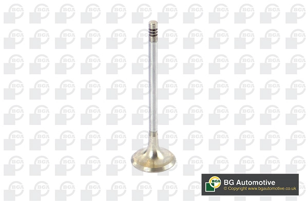 Exhaust Valve V090100