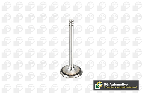 Intake Valve V998902