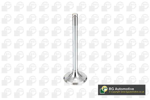 Intake Valve V537746