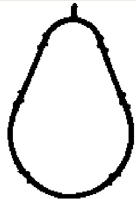 Gasket, intake manifold MG8560