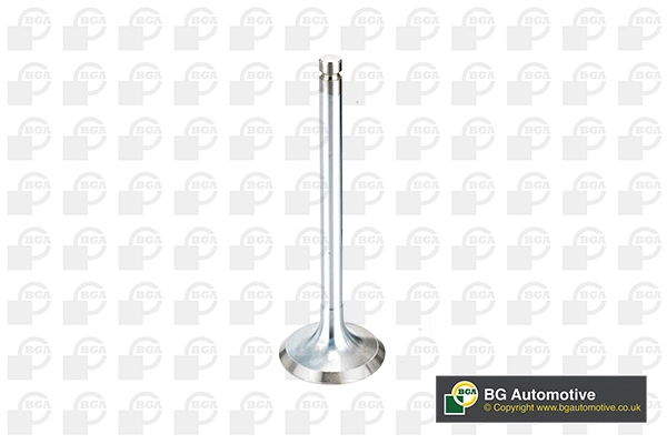 Intake Valve V994546