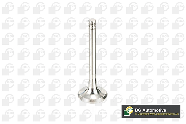 Exhaust Valve V033035