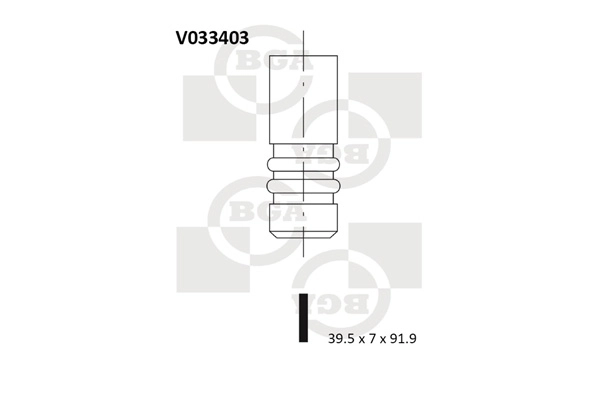 Intake Valve V033403
