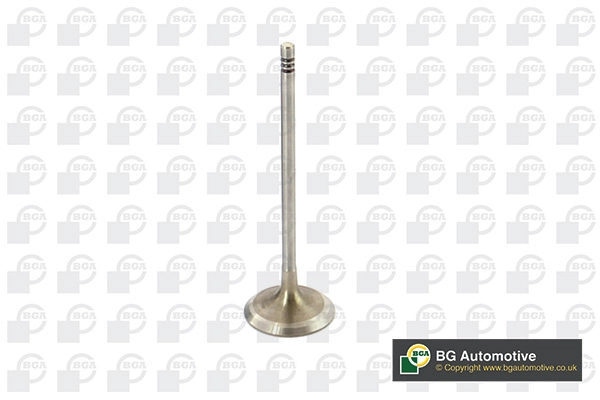 Intake Valve V090102