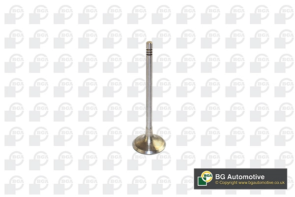 Intake Valve V591701