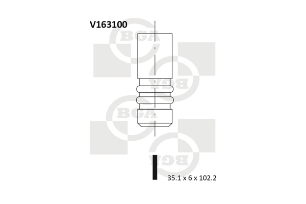 Intake Valve V163100