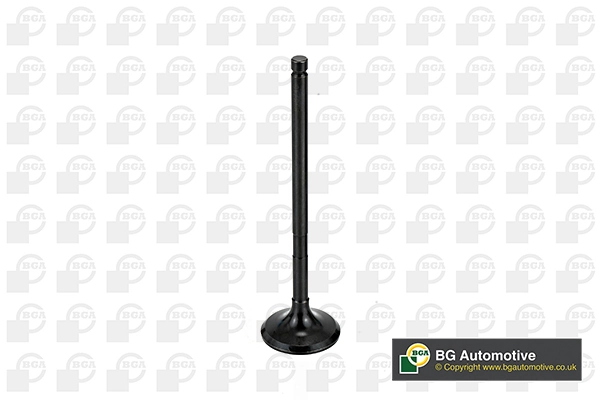 Exhaust Valve V998746