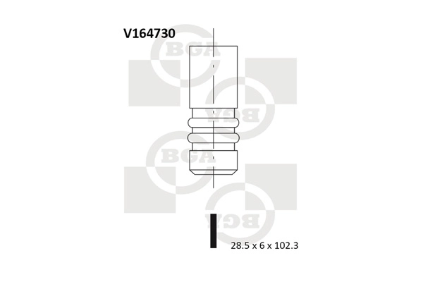 Intake Valve V164730