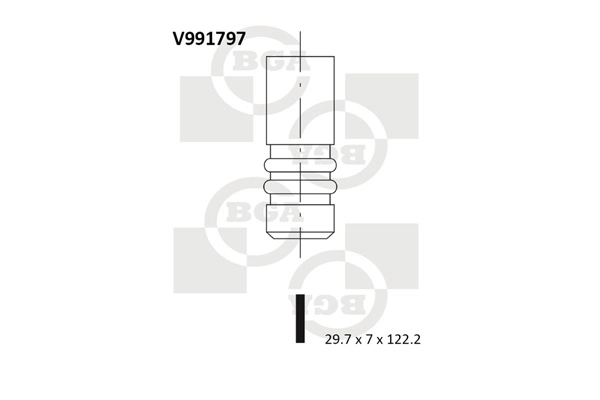 Intake Valve V991797
