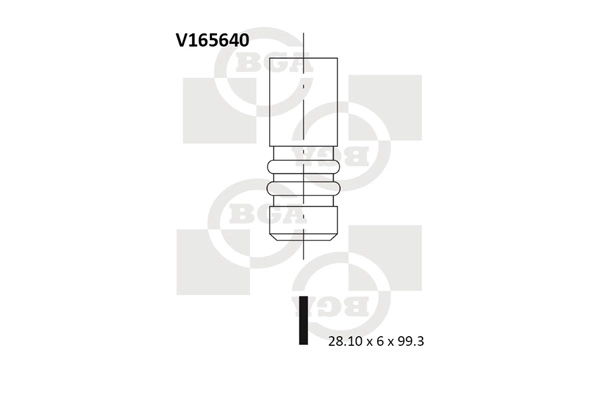 Intake Valve V165640