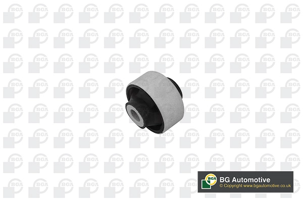 Mounting, control/trailing arm BU2223