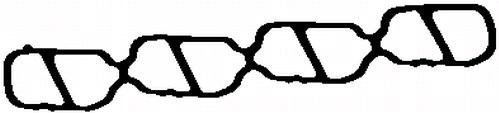 Gasket, intake manifold MG6719