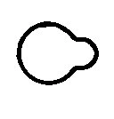 Gasket, intake manifold MG5556