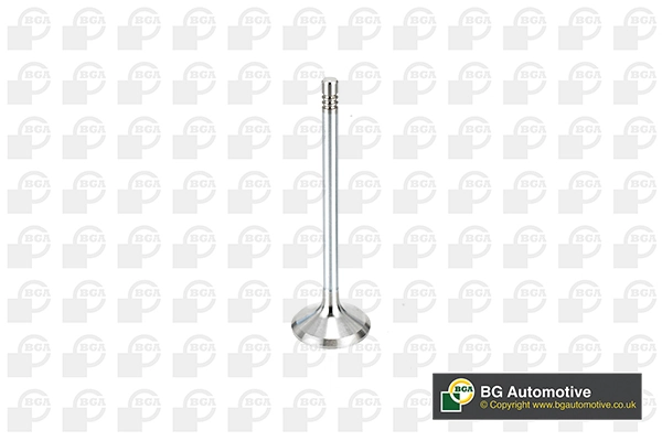 Intake Valve V998912