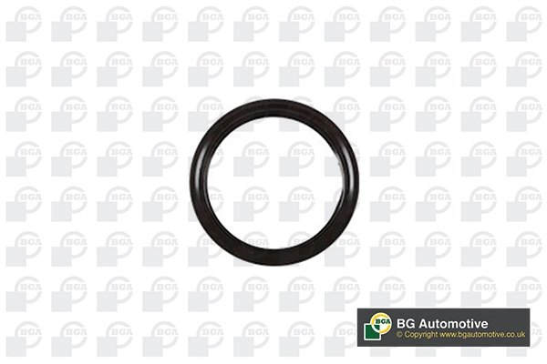 Shaft Seal, crankshaft OS3387