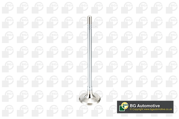 Exhaust Valve V165051