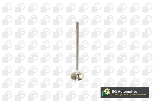 Exhaust Valve V591702