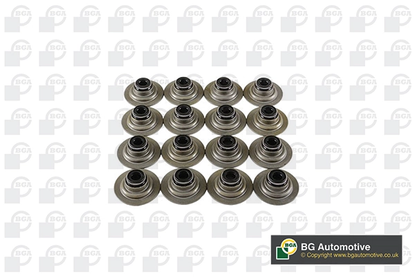 Seal Set, valve stem VK5343