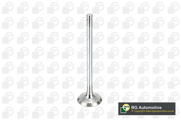 Intake Valve V991908