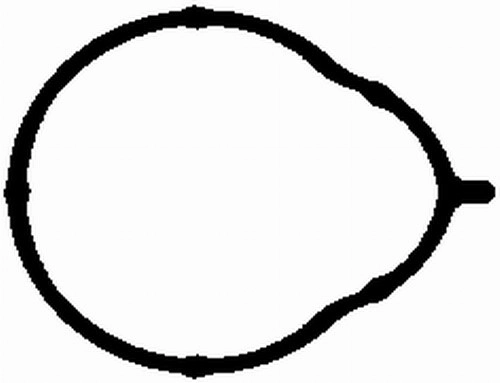 Gasket, intake manifold MG2581