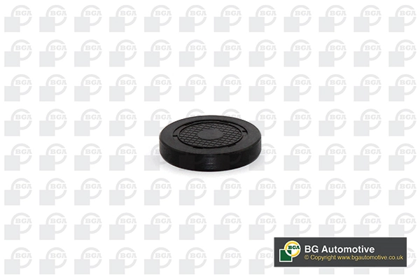 Plug, rocker arm shaft mounting bore PL4601