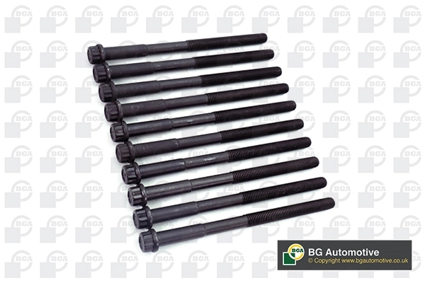 Cylinder Head Bolt Set BK3379