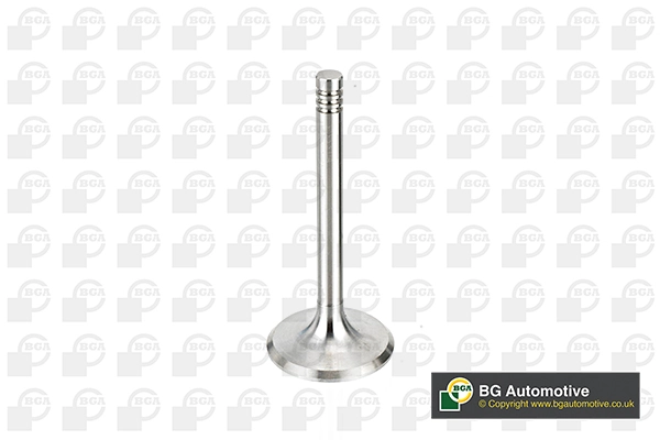 Intake Valve V033313