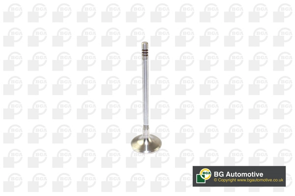 Intake Valve V166200