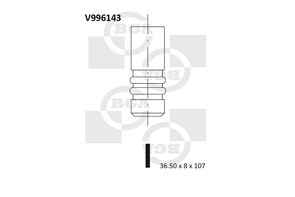 Intake Valve V996143