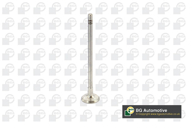 Exhaust Valve V737875