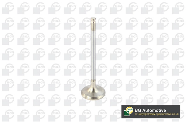 Exhaust Valve V820011