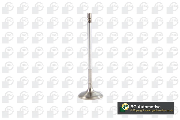 Intake Valve V561127