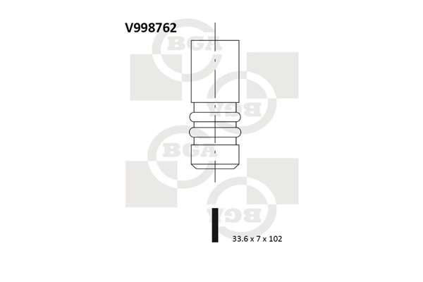 Intake Valve V998762