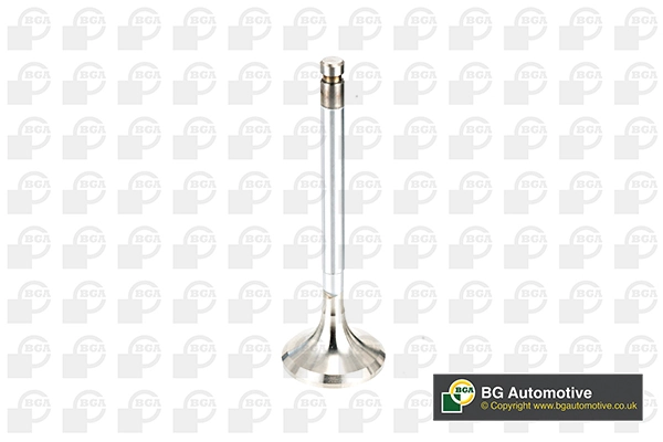 Exhaust Valve V991716