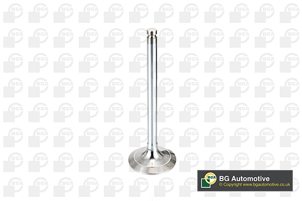 Intake Valve V017062