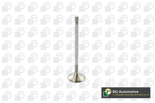 Intake Valve V560011